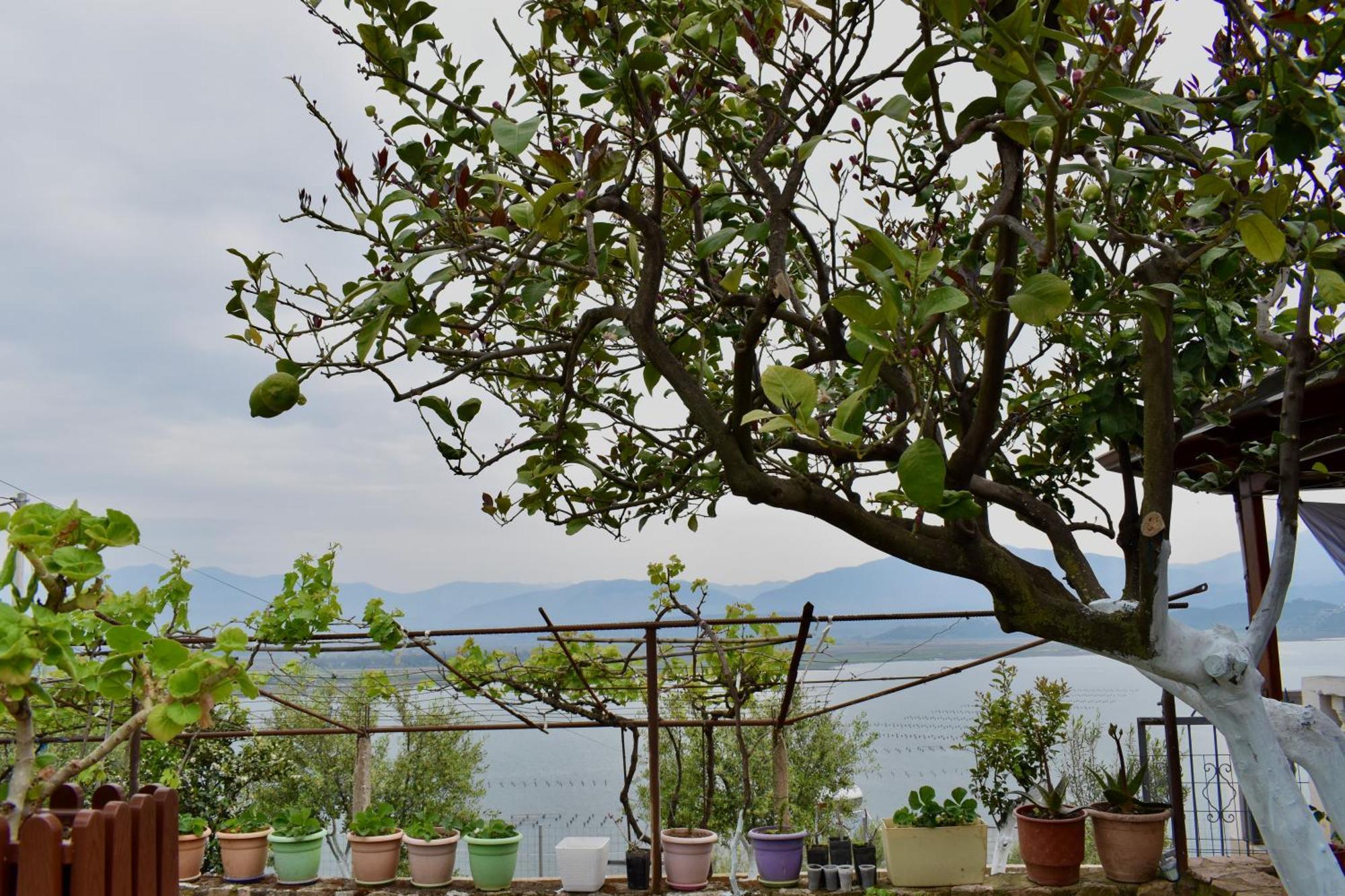 Ksamil Sea&Lake View Escape Eksteriør bilde